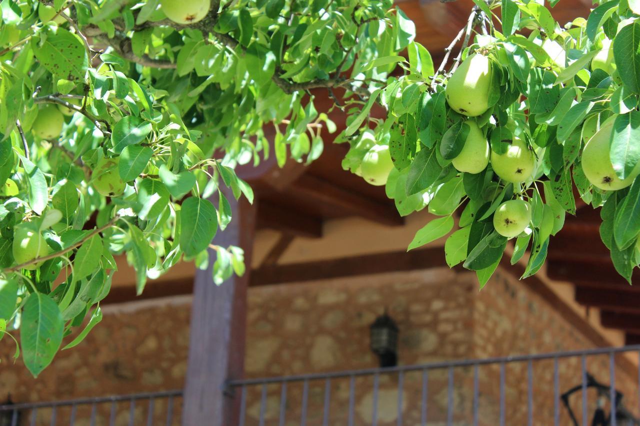Maison d'hôtes Complejo Rural La Coronilla à Jarandilla de la Vera Extérieur photo